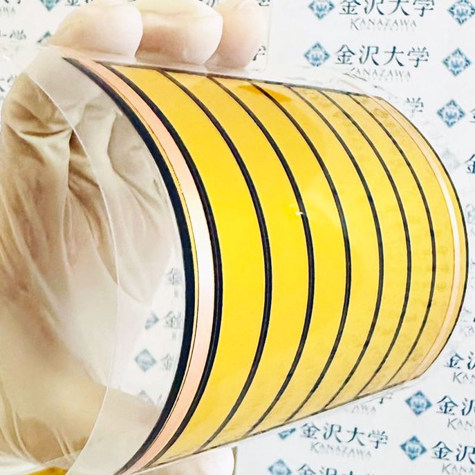 ペロブスカイト太陽電池でスタートアップ&hellip;金沢大、独自技術で長寿命・低コスト化