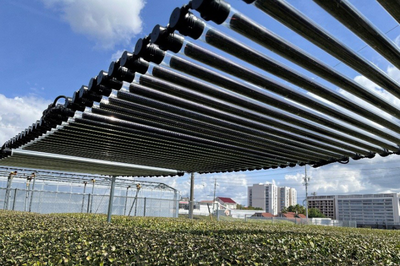 円筒形のペロブスカイト太陽電池、茶畑でソーラーシェアリング実証