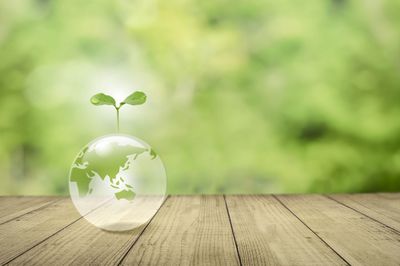 薄型パネルで即事業化…ティーエスピー、太陽光パネル+農業モデル提供