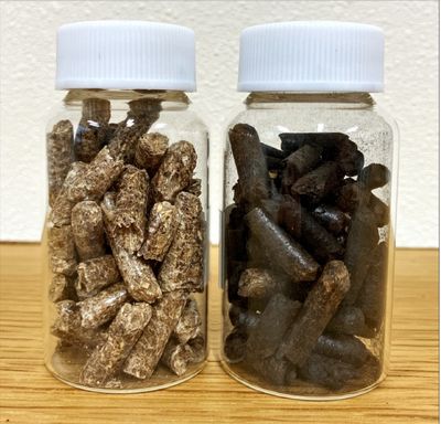 金の“レア物”も…崎陽軒のシウマイしょうゆ入れ「ひょうちゃん」、誕生