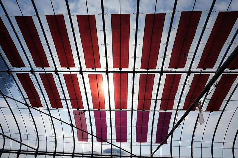 もう一つの次世代型〟「有機薄膜太陽電池」、営農型に勝機あり｜ニュー