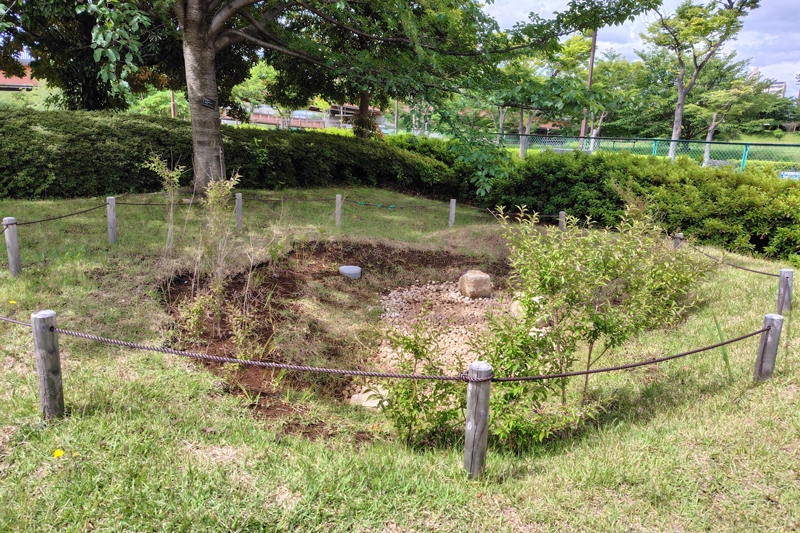 自然の機能で豪雨被害抑える…自治体にじわり浸透、「雨庭」を知ってい