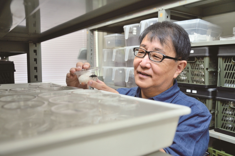 死んだふり」は奥が深い、30年の研究が英文書籍に…精神疾患研究に応用