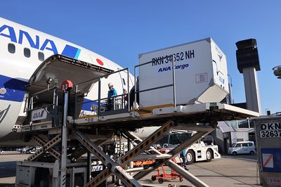 破格、運賃10分の1…ANAが旅客便間借りで物流サービス