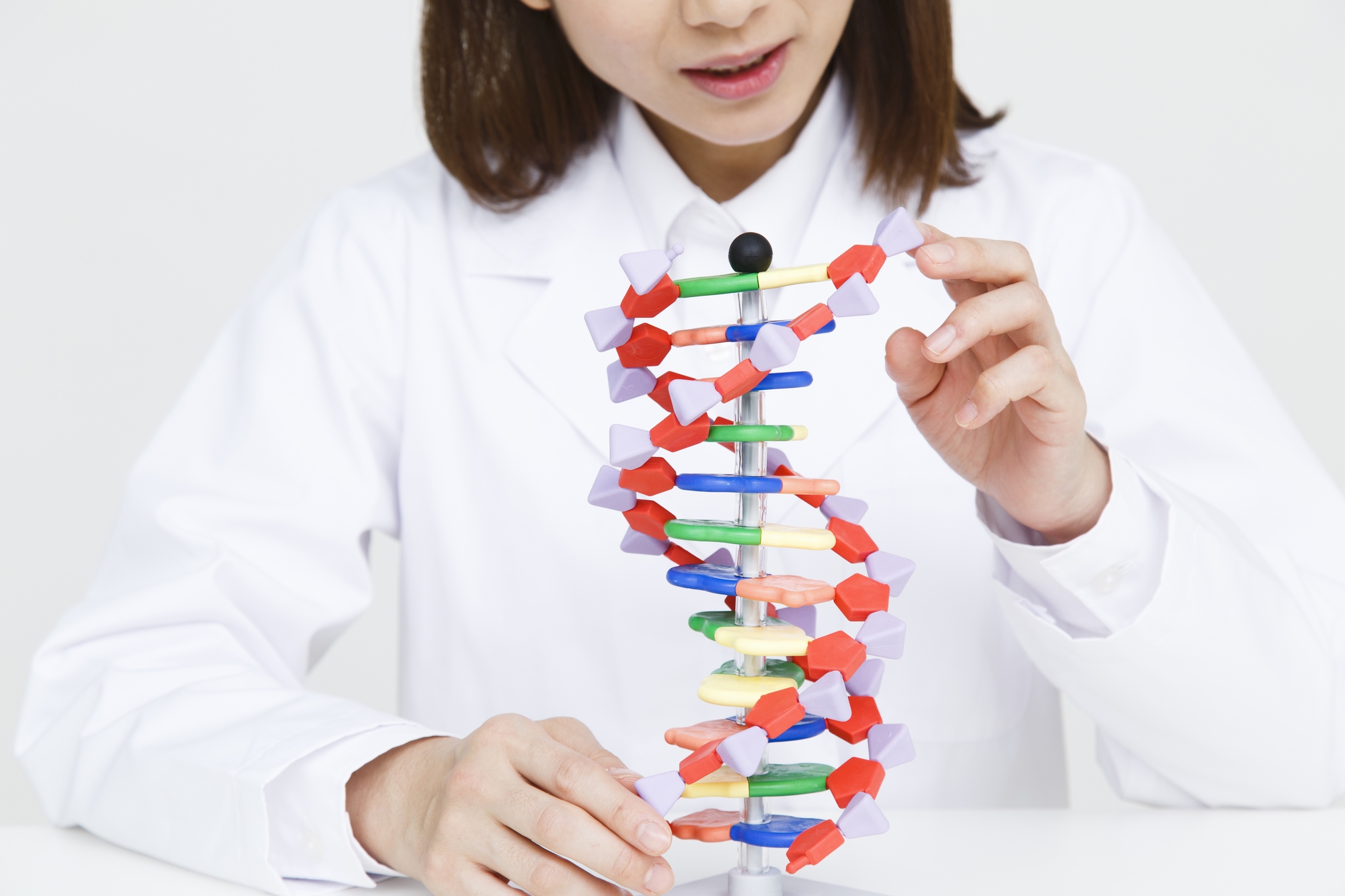 毛髪移植とは何ですか?