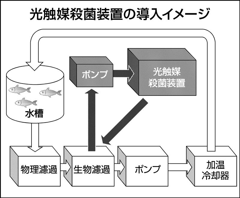 植物が助けてくれる?