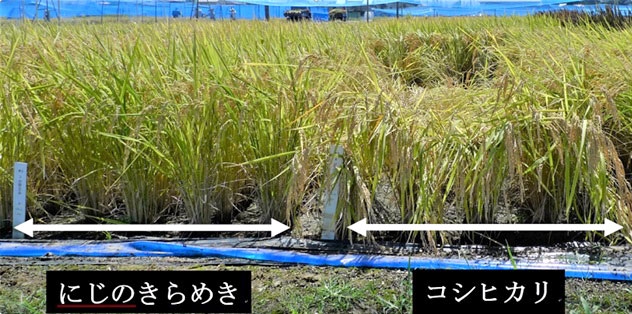 画像が削除されました