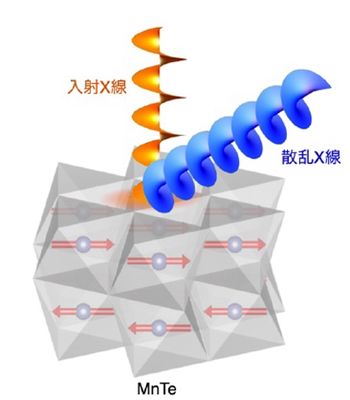 次世代メモリーに応用…東北大など、交替磁性体の磁区観察で新技術