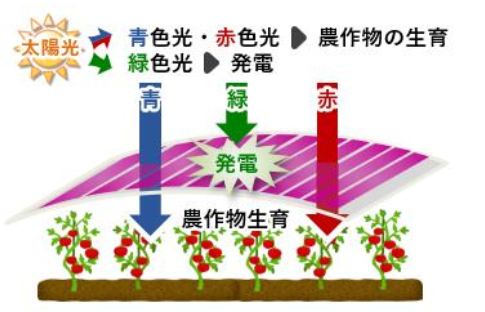 有機薄膜太陽電池 高効率化に挑む 新型有機薄膜太陽電池