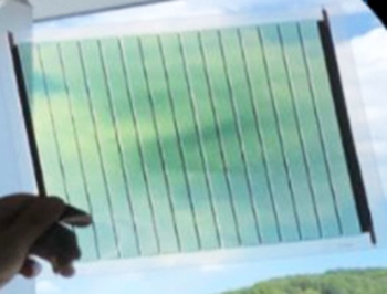 有機薄膜太陽電池」でブドウの着色向上…山梨県、カーボンフリー農業