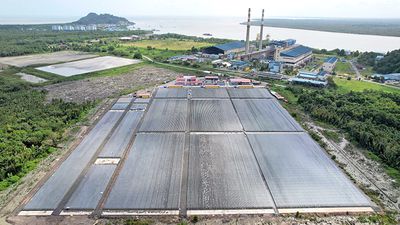 時価総額は7年で10倍1167億円、生物の培養・育成技術持つ&ldquo;和製ユニコーン&rdquo;が描く成長曲線
